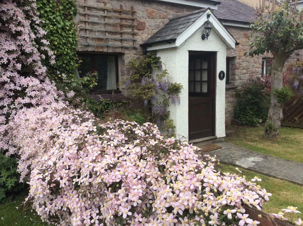 Sycamore Cottage Conwy Exteriér fotografie