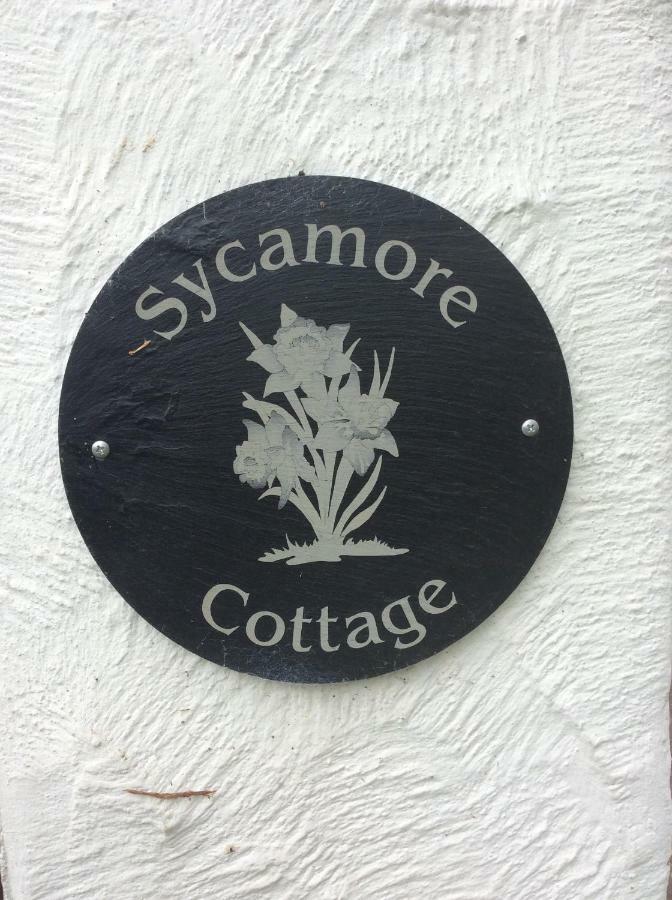 Sycamore Cottage Conwy Exteriér fotografie